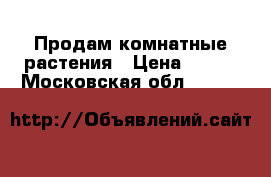  Продам комнатные растения › Цена ­ 100 - Московская обл.  »    